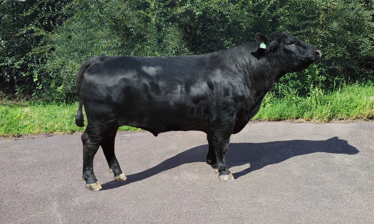 ПРИЗЕР 65043 КСА-3